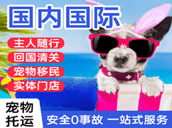 银川机场快运国际宠物托运 【国